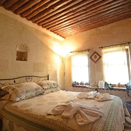 招待所 Antique House 内夫谢希尔