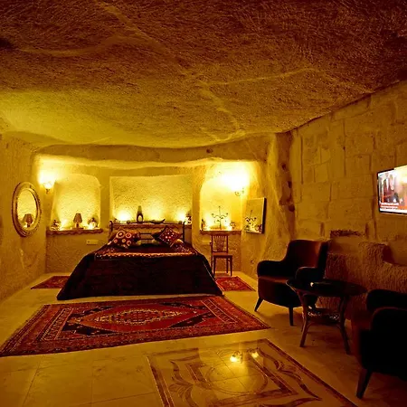 Antique House 招待所 内夫谢希尔