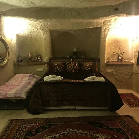 Antique House 内夫谢希尔