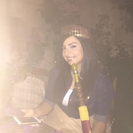 招待所 Antique House