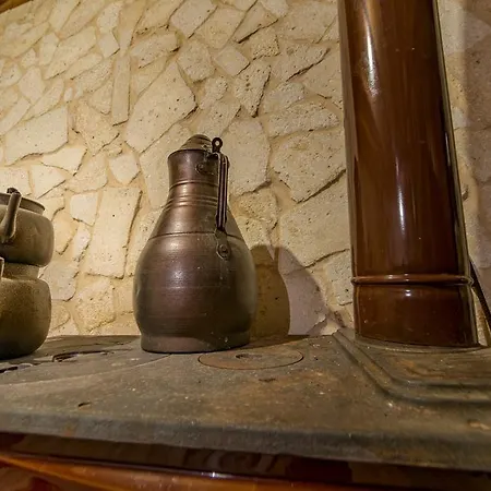 Antique House 招待所 内夫谢希尔