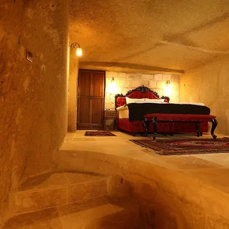 Antique House 4* 内夫谢希尔