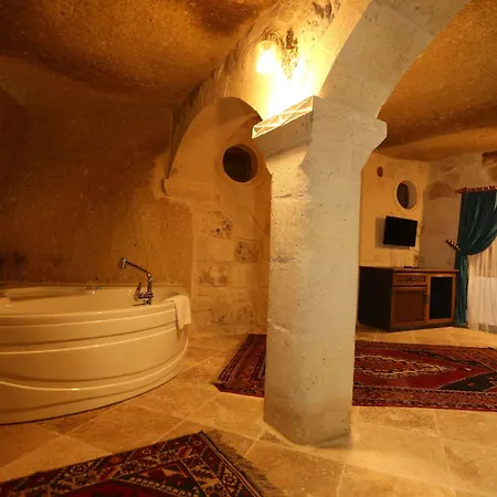 Antique House 招待所 内夫谢希尔