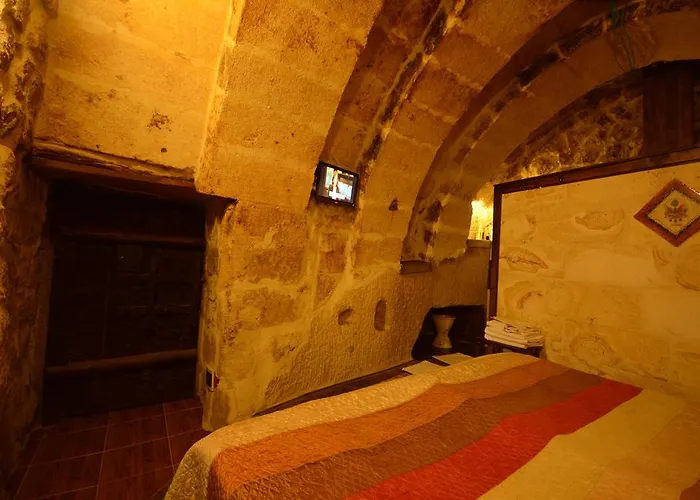 Antique House 게스트하우스 4*