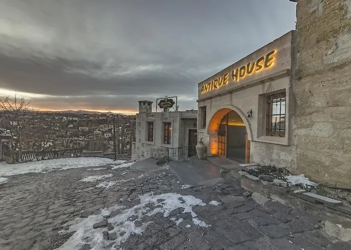 게스트하우스 Antique House 4*