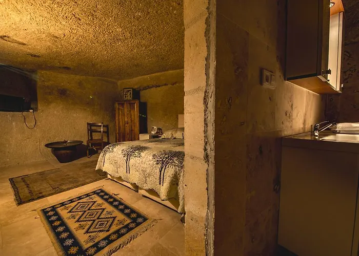 Antique House 게스트하우스 4*