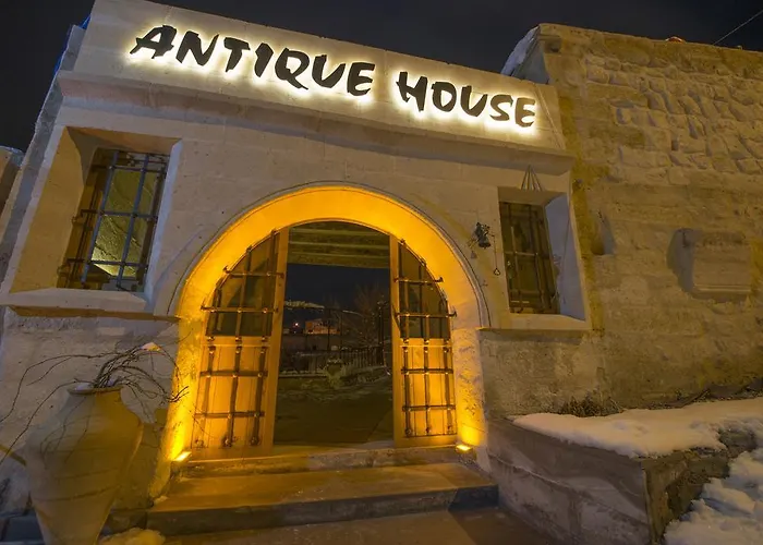 Antique House