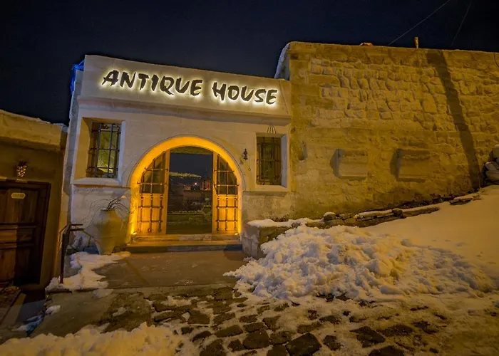 Antique House Гостевой дом 4*